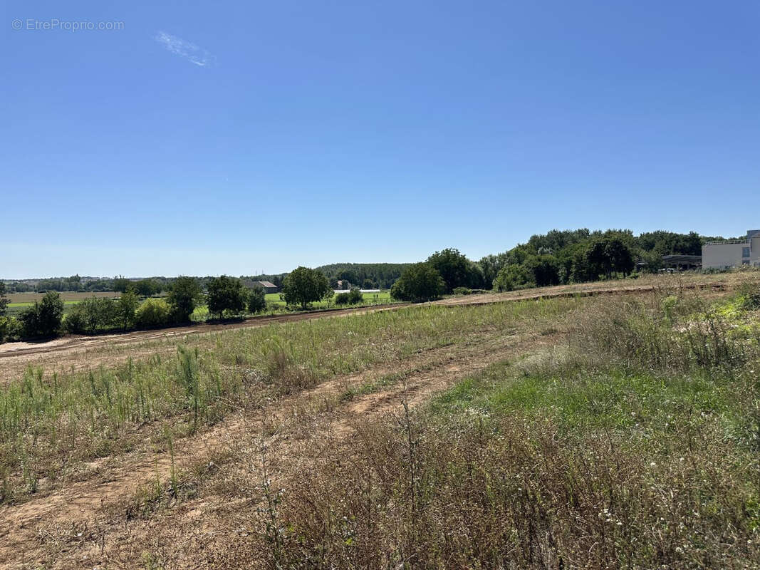 Terrain à MONTIGNY-LES-METZ