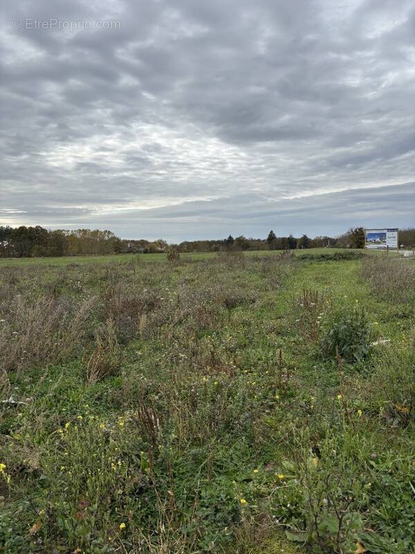 Terrain à JARZE
