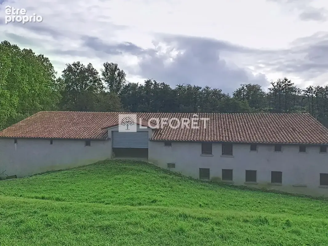 Propriété de 116 hectares !!!  20 minutes Est de Montauban - photo 14