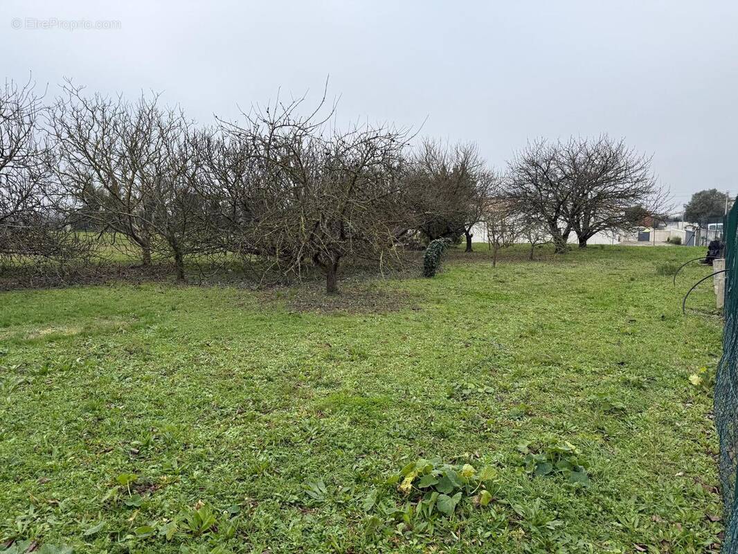 Photo 1 - Terrain à LA JARRIE