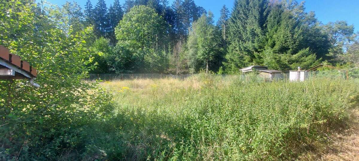 Maison à XONRUPT-LONGEMER