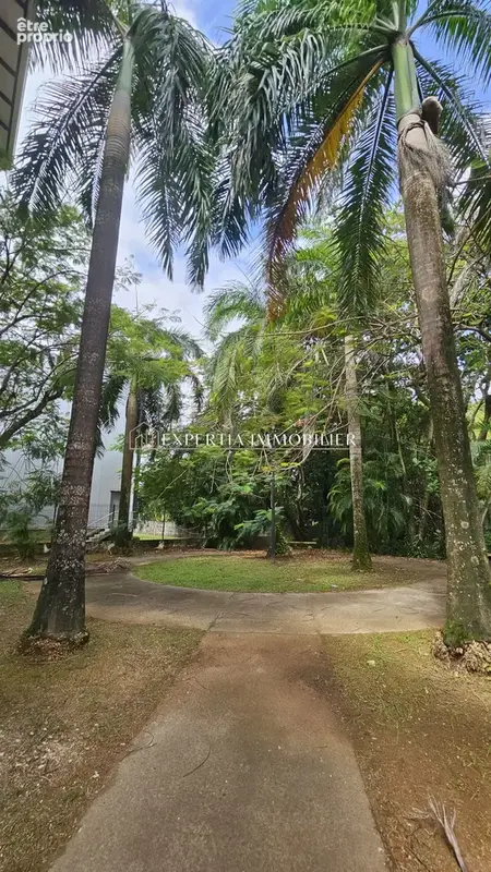 Cayenne : grand appartement avec terrasse à acheter - photo 11