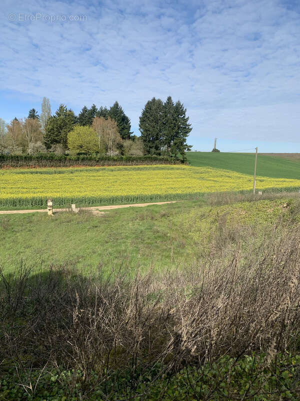 Terrain à MONTOIRE-SUR-LE-LOIR