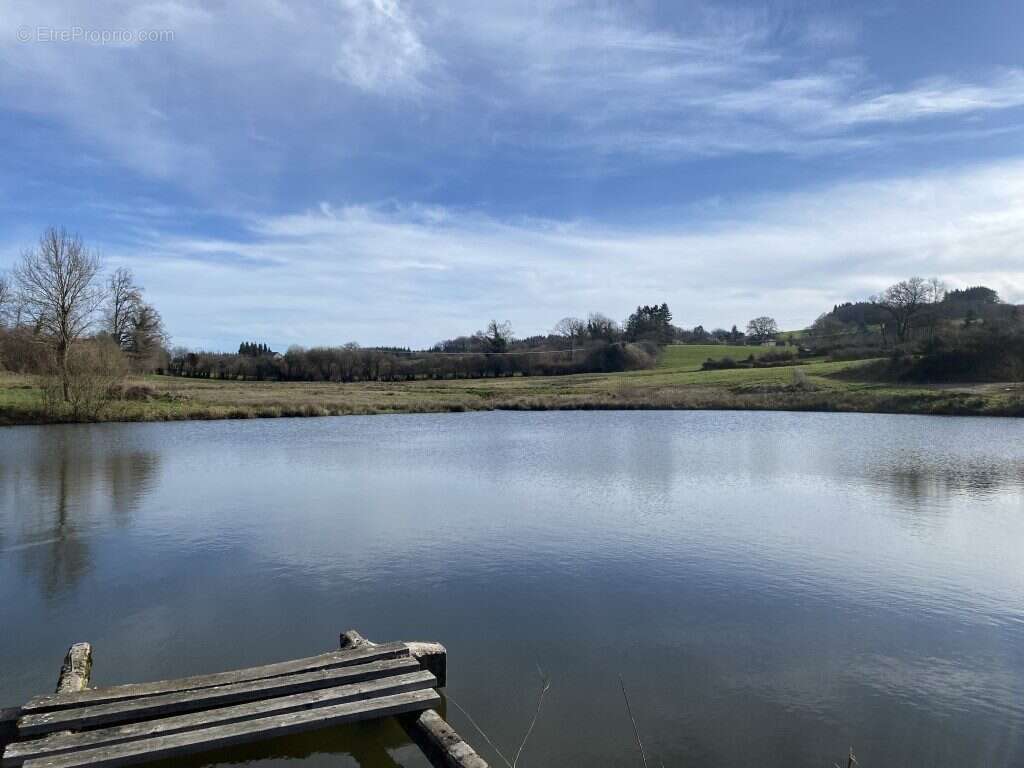 Terrain à NEUVIC-ENTIER