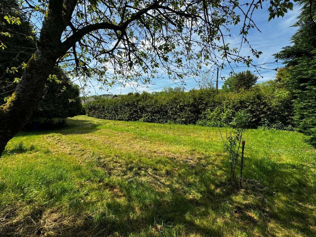 Photo 2 - Terrain à MONTREUIL-AUX-LIONS