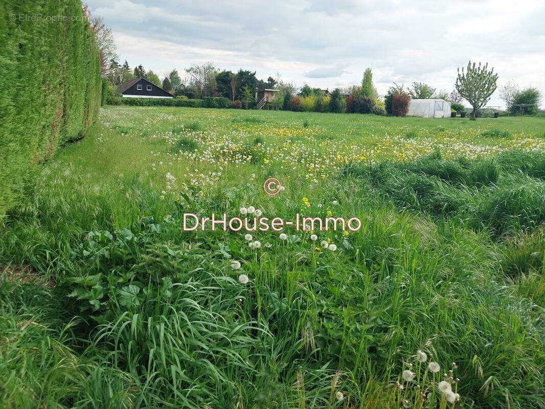 Terrain à SAINGHIN-EN-MELANTOIS