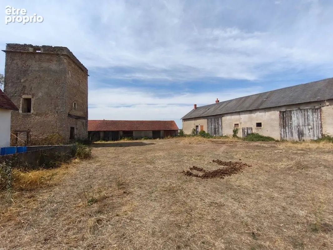 A SAINT-PIERRE-LE-MOUTIER (58240) Fermette avec 2 hectares - photo 1
