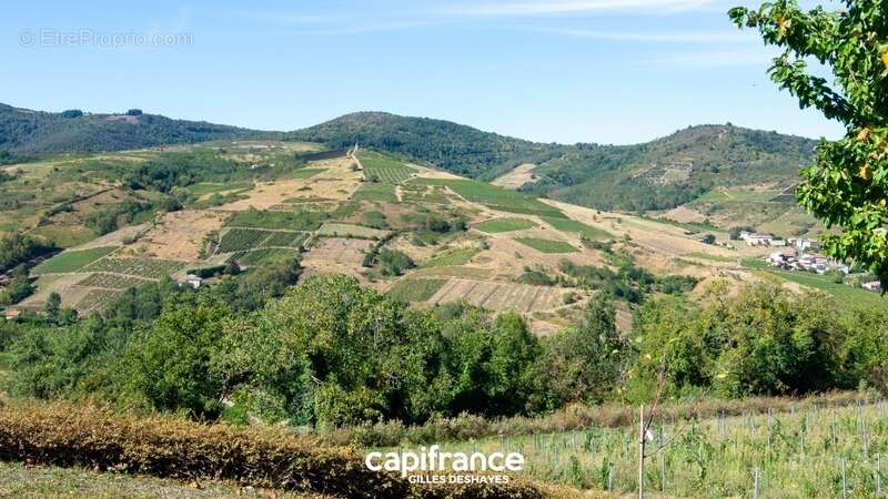 Maison à VAUX-EN-BEAUJOLAIS