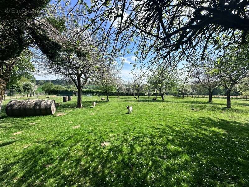 Maison à CHAMP-DU-BOULT