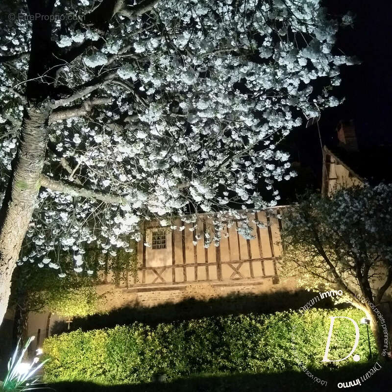 jardin  - Maison à GASNY