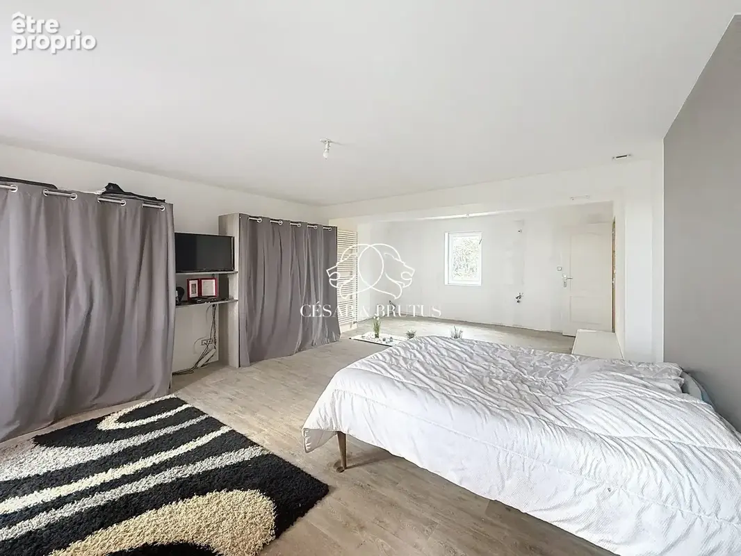 Maison 6 pièces 159 m² à vendre à Saint-Pierre-La-Noaille (42190) - photo 7