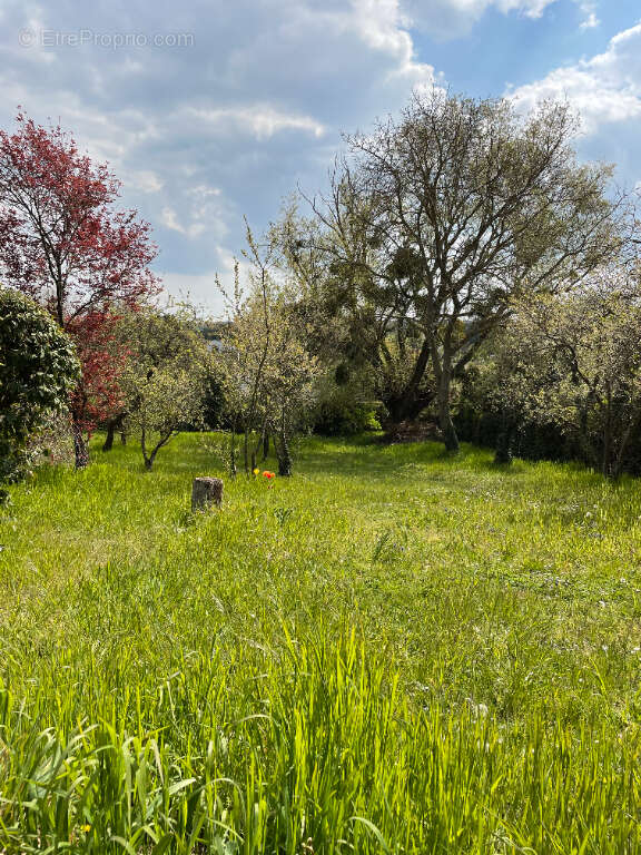 Terrain à MORAINVILLIERS