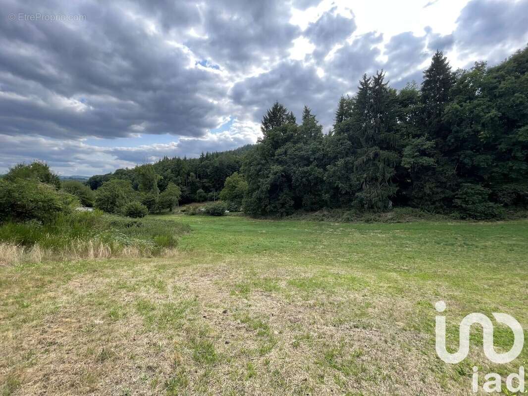 Photo 7 - Maison à NEDDE