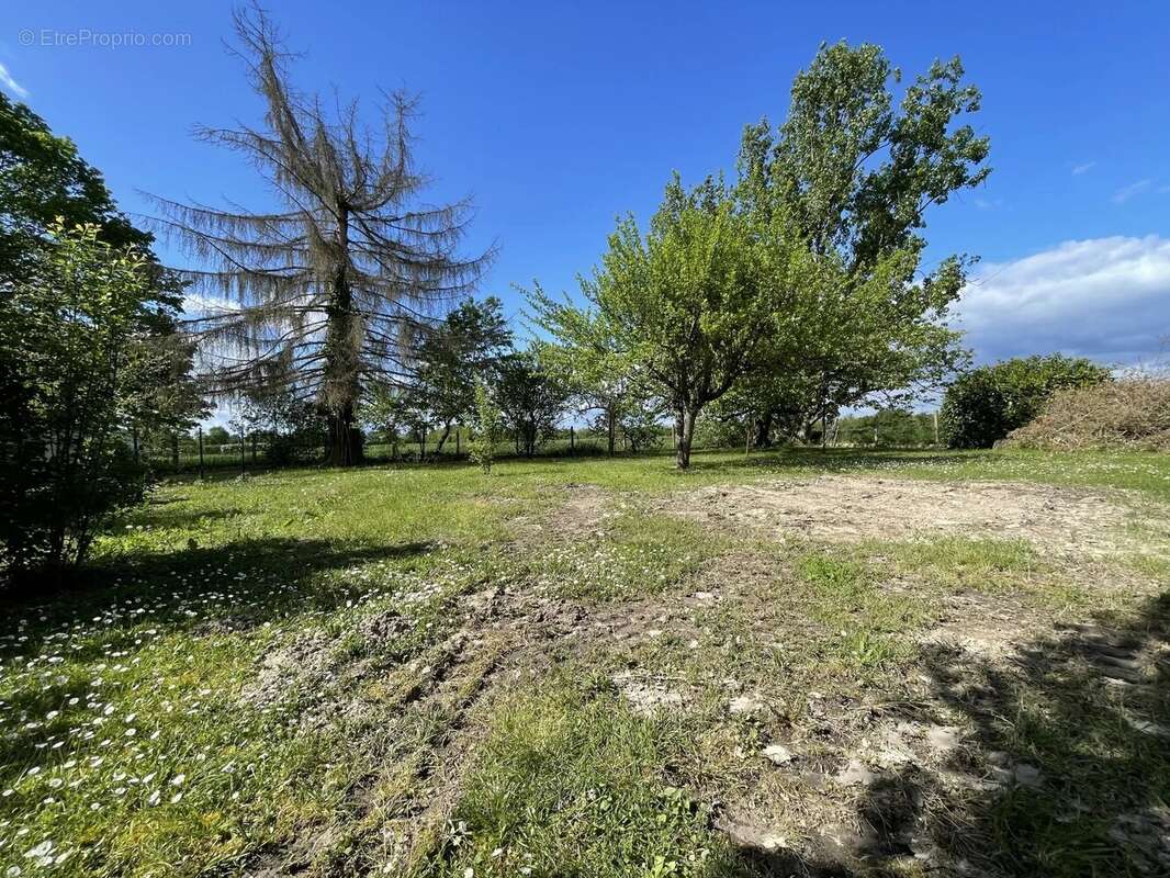 Terrain à SAINT-ETIENNE-DE-TULMONT