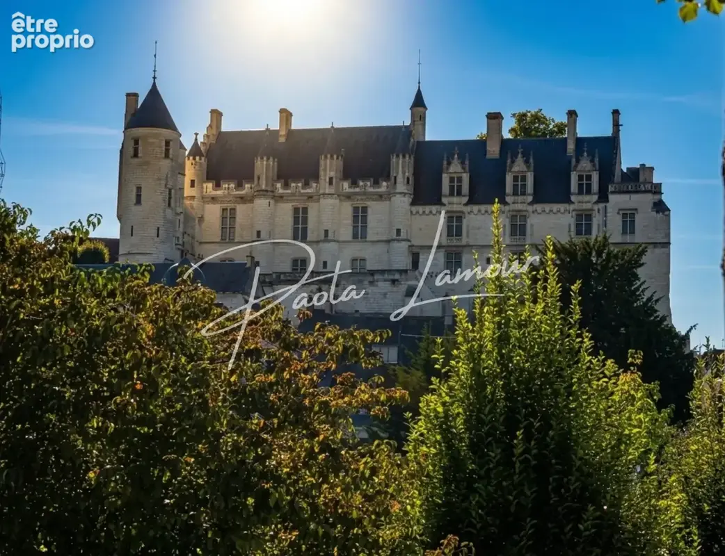 Photo 1 - Maison à LOCHES