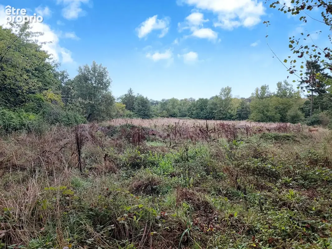 Maison Atypique avec studio indépendant, garage et Grand Terrain Arboré - photo 18