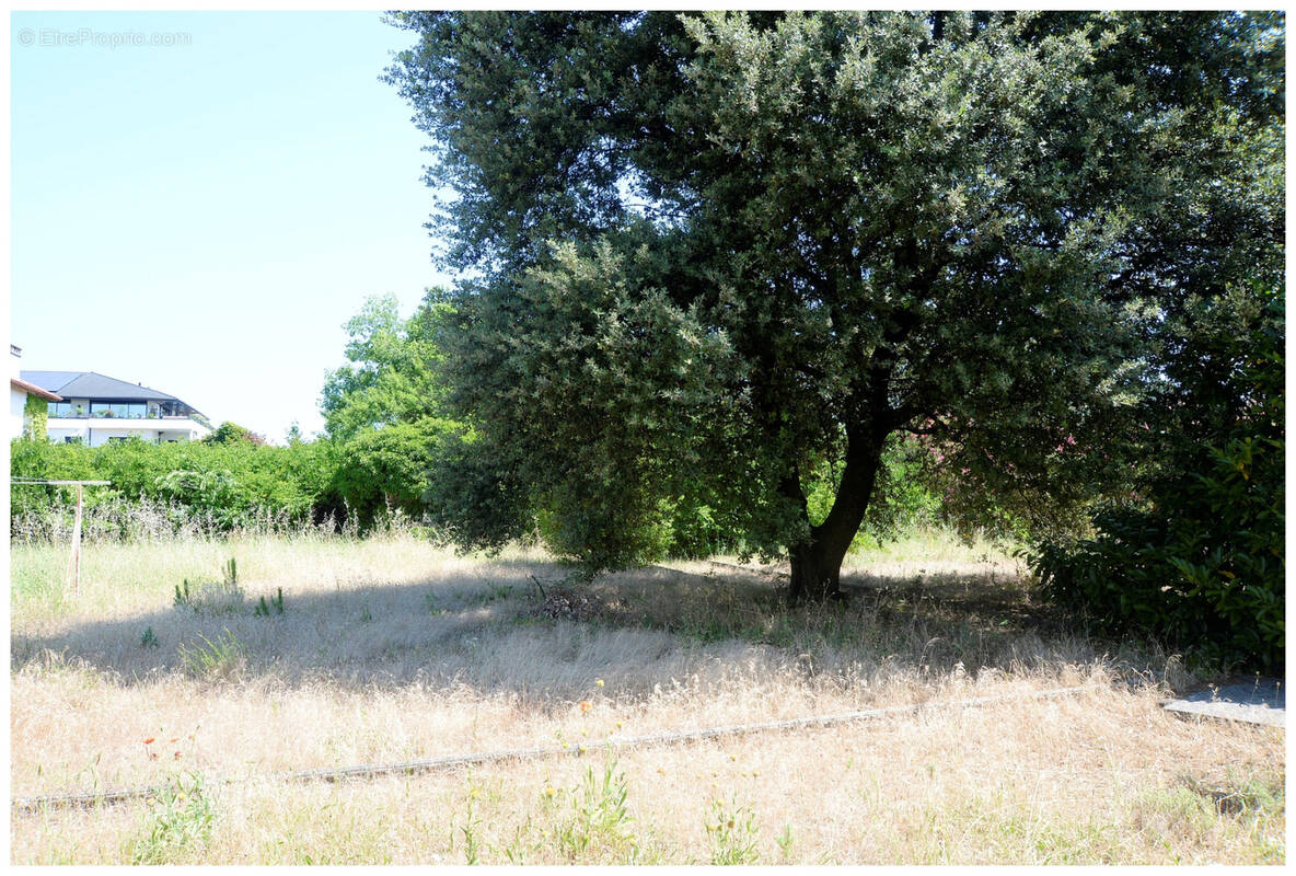 Terrain à MONTELIMAR