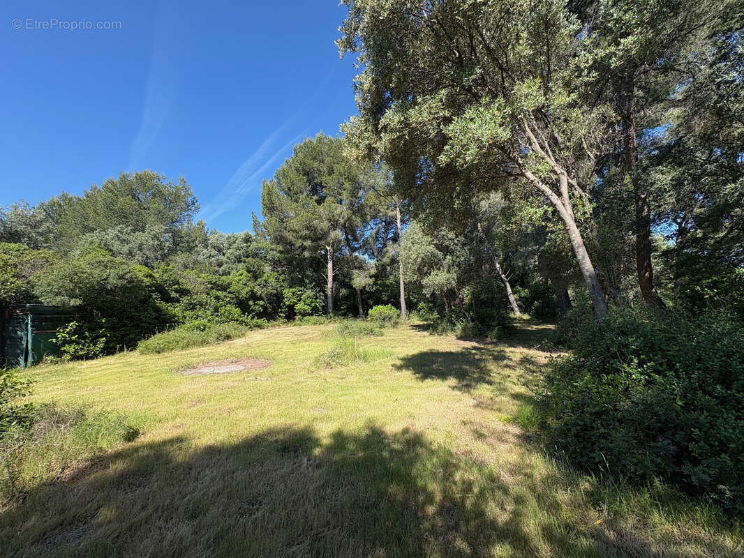 Terrain à OLLIOULES