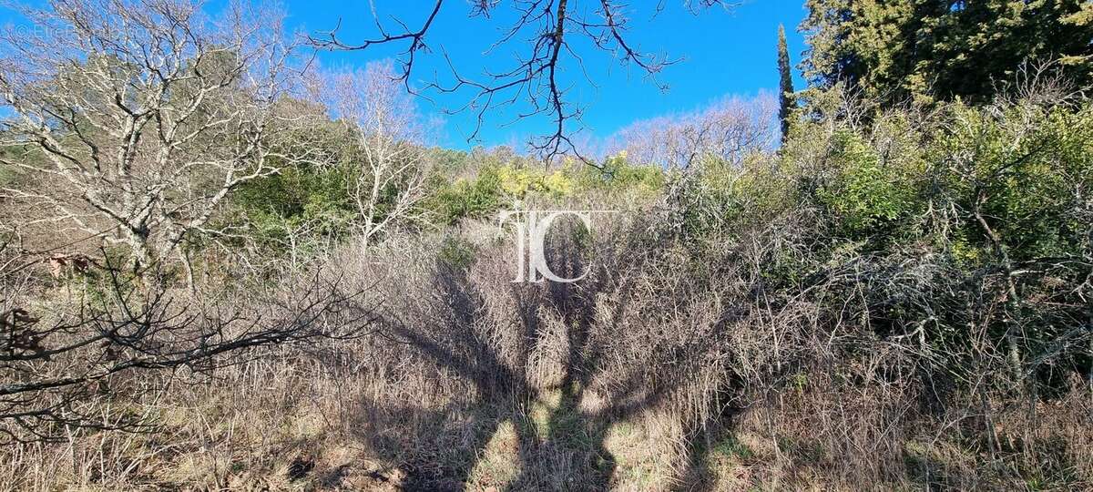 Terrain à SAINT-PAUL-LE-JEUNE