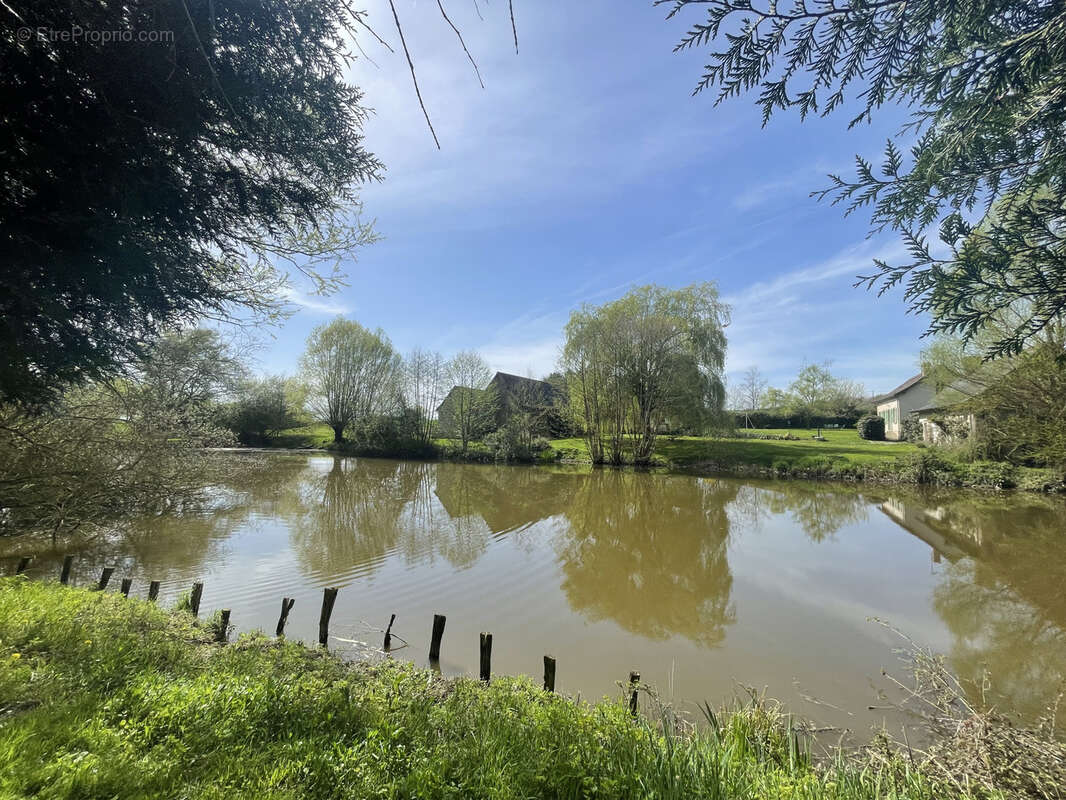 Maison à LOUESTAULT