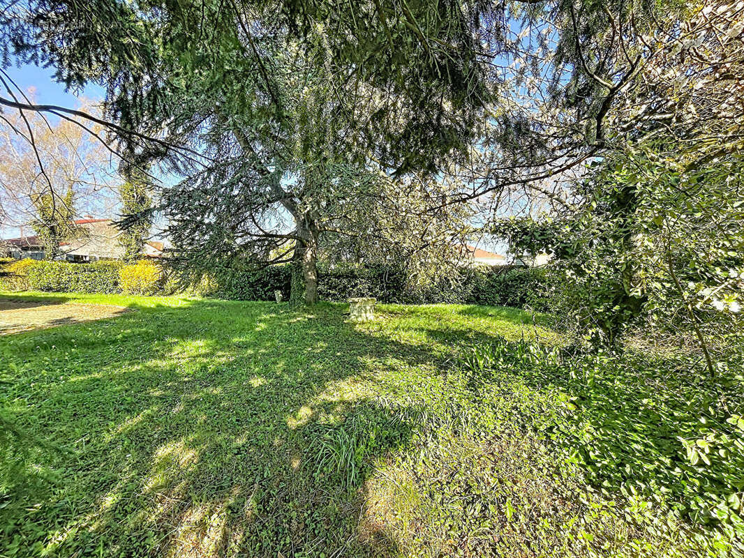 Terrain à SARAN