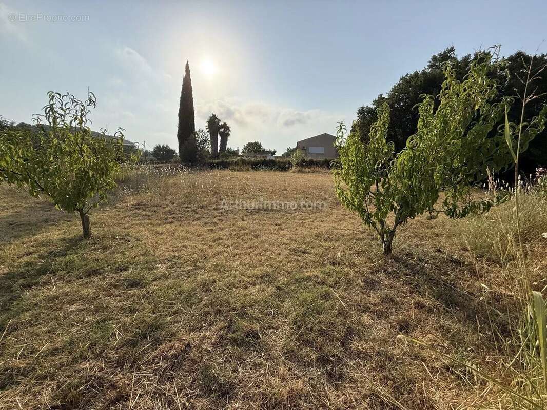Vente Terrain Clermont-l'herault(34800) 149 000ï¿œ - photo 4