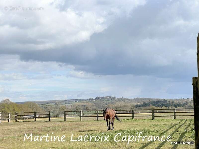 Dpt SARTHE (72), à vendre LA FERTÉ-BERNARD - PROPRIÉTÉ  P5 de 100 m² - Terrain de 10 Ha - photo 16