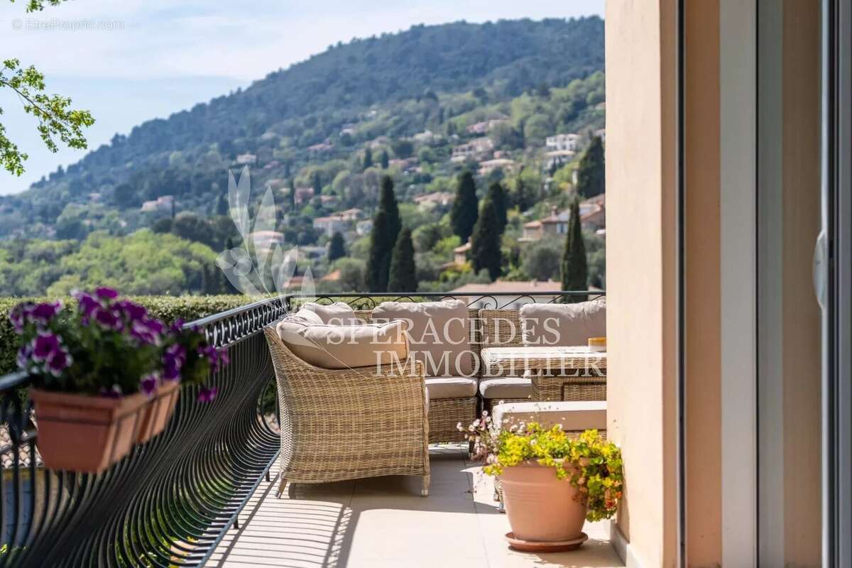 Maison à SPERACEDES