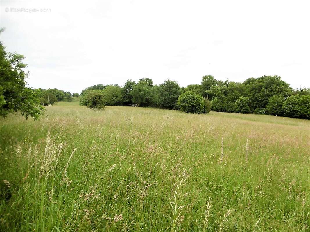 Terrain 2400 m² à Vignols  - photo 111