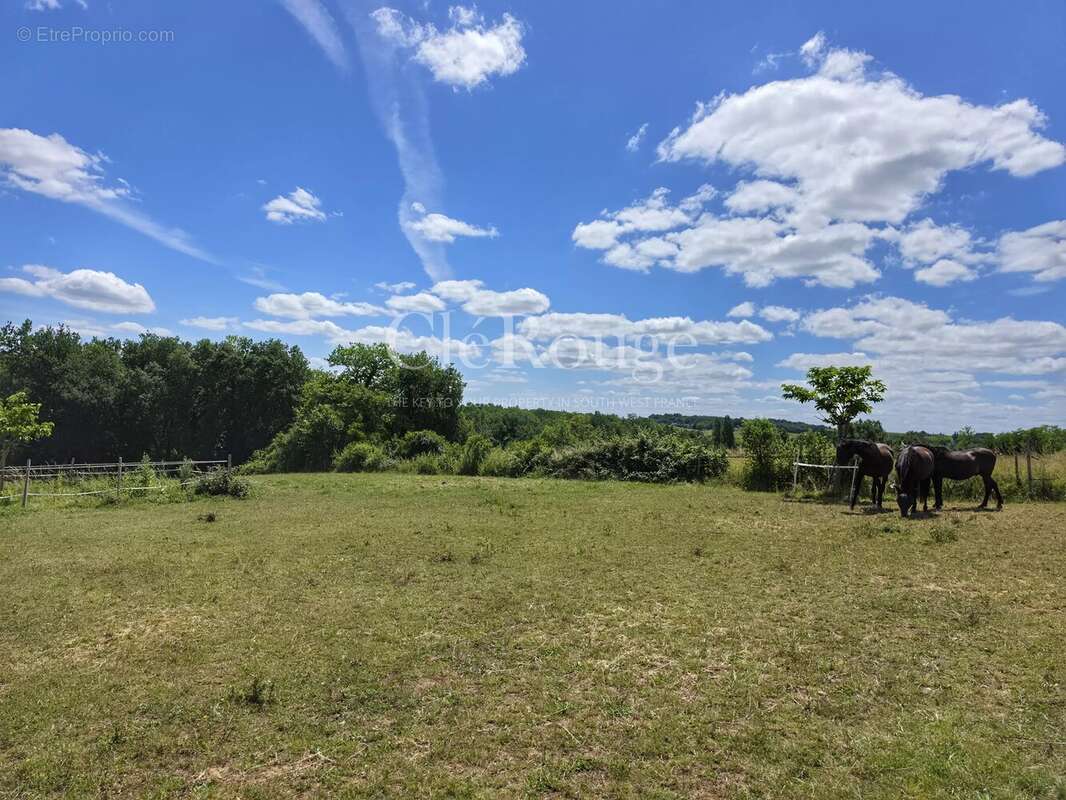 Belle propriété équestre clé en main sur 1,7 hectare au cœur de la campagne girondine - photo 25