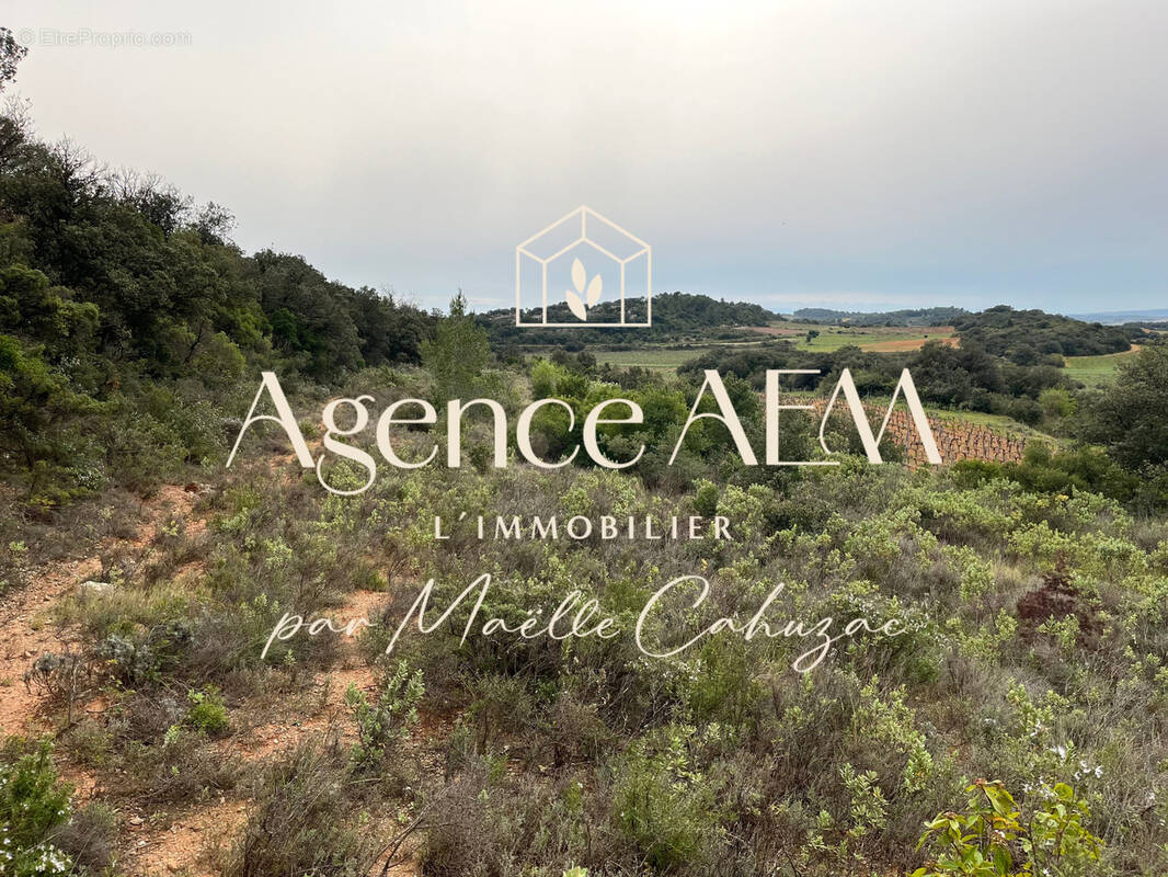 Terrain à SAINT-CHINIAN