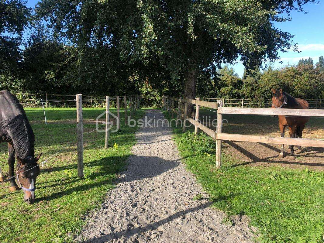 Maison à BOIS-GRENIER