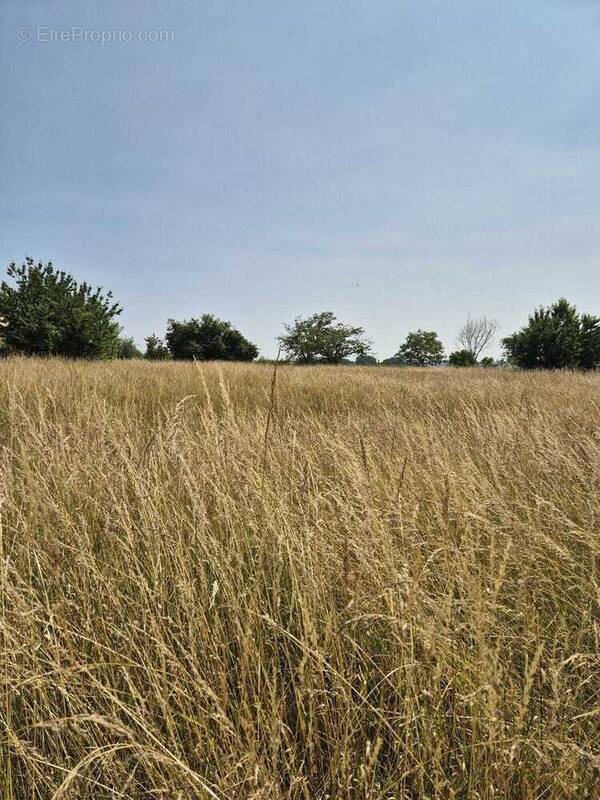 Terrain à CHAMPNIERS