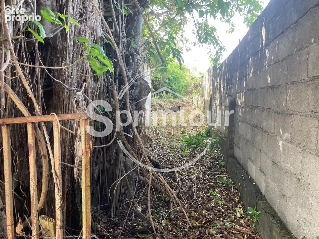 À vendre   Terrain constructible de 2999 m2 à Basse-Terre - photo 9