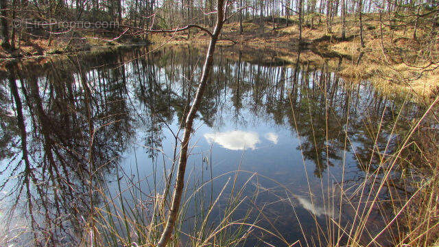 IMG_6087 - Terrain à FAUCOGNEY-ET-LA-MER