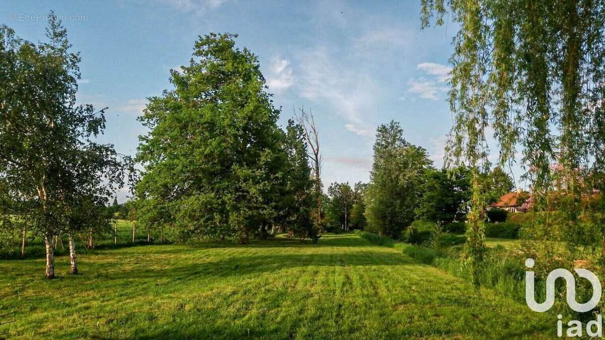 Photo 5 - Terrain à MAULETTE