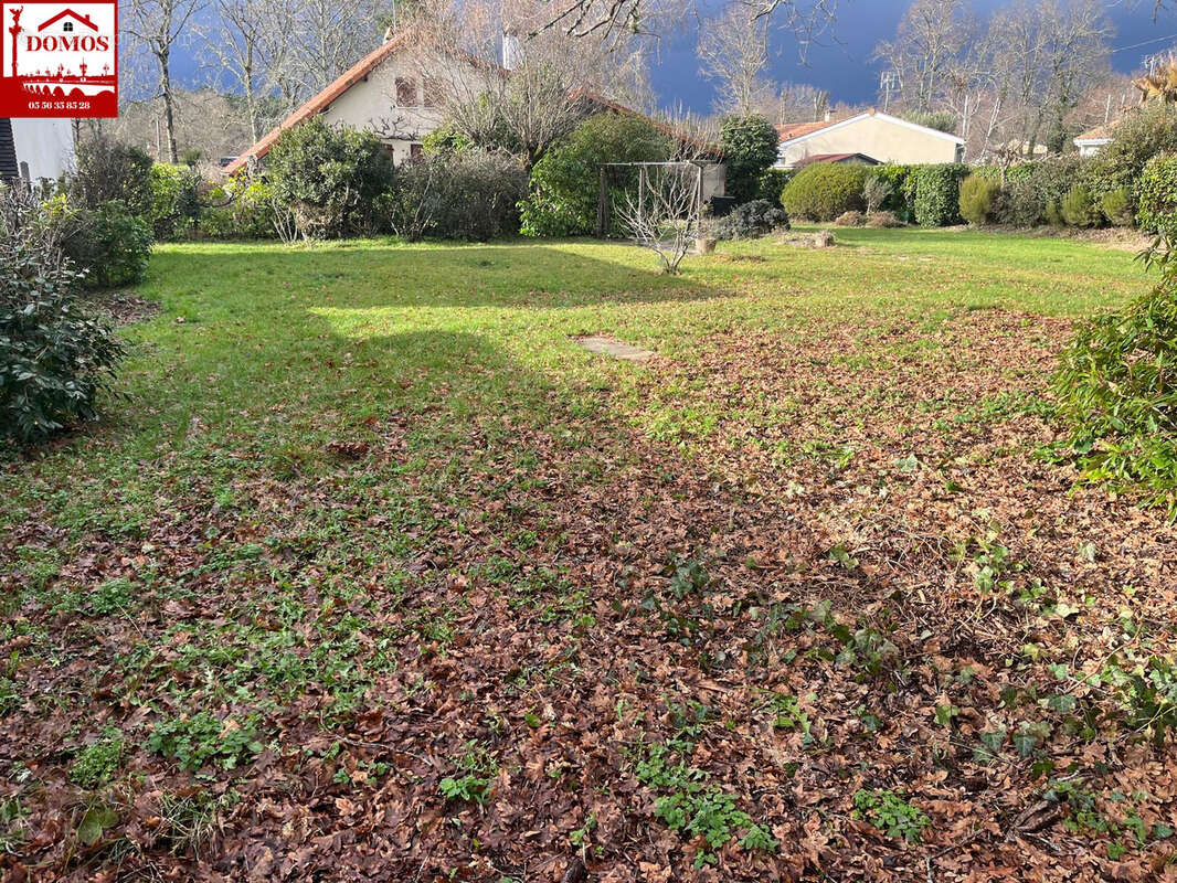 Terrain à CASTELNAU-DE-MEDOC