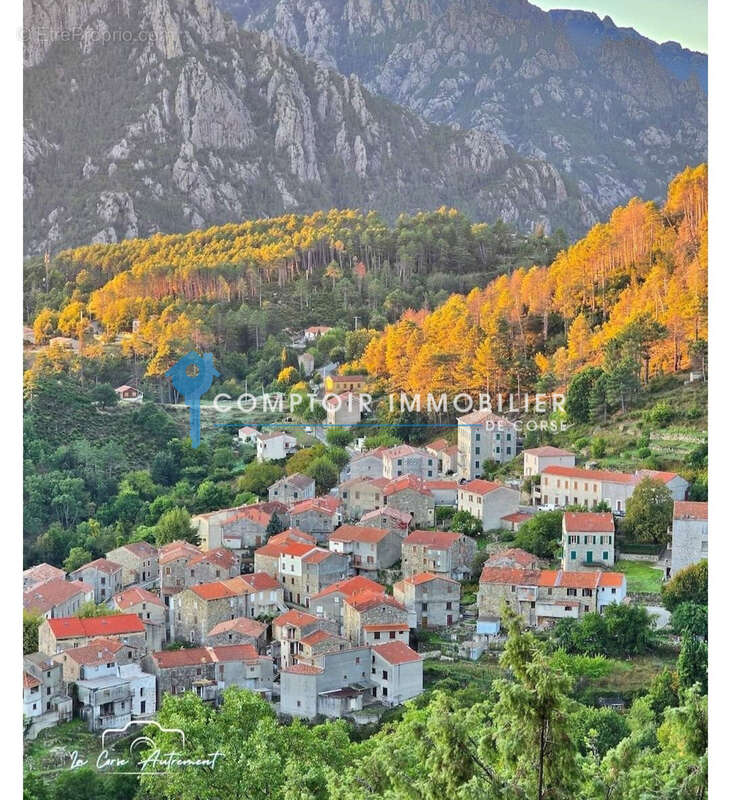 A vendre appartement 27m2  a ghisoni - photo 2