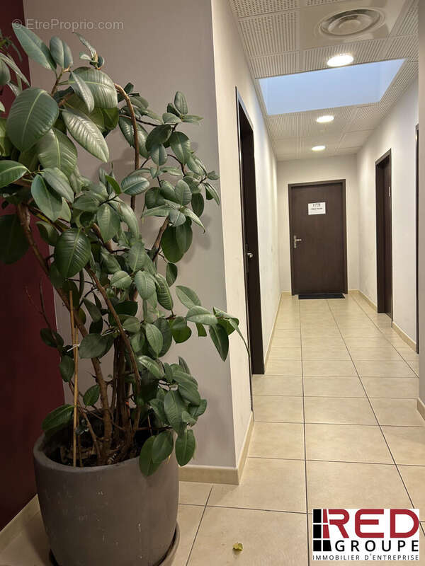 Commerce à EGUILLES