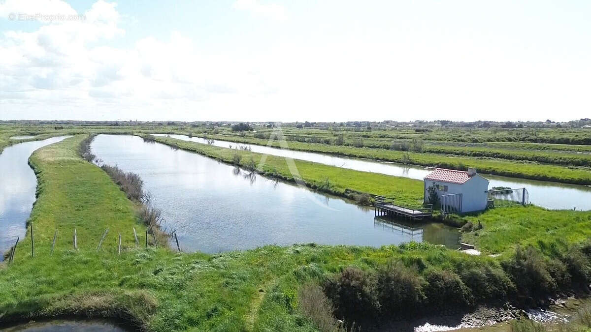Terrain de loisir à poissons de plus de 2 hectares - photo 3