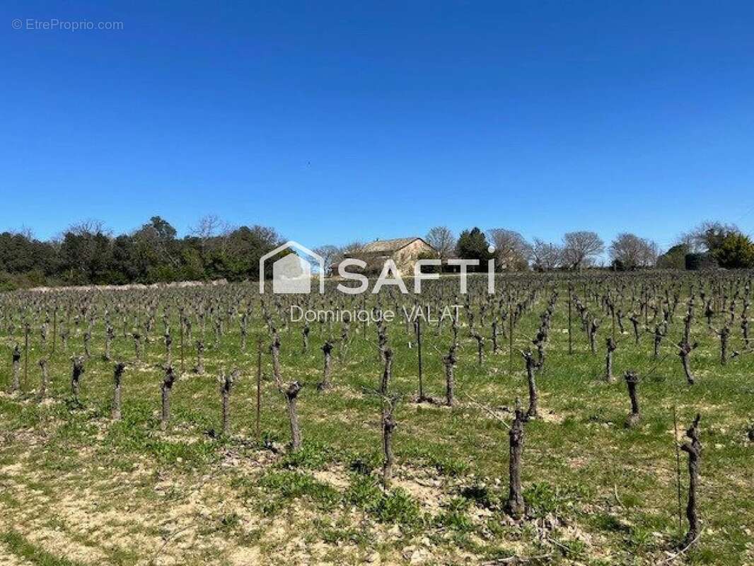 Photo 5 - Maison à SAINT-JEAN-DE-CRIEULON