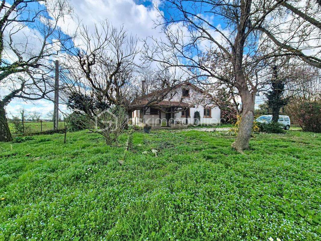 Maison à CASTELSARRASIN