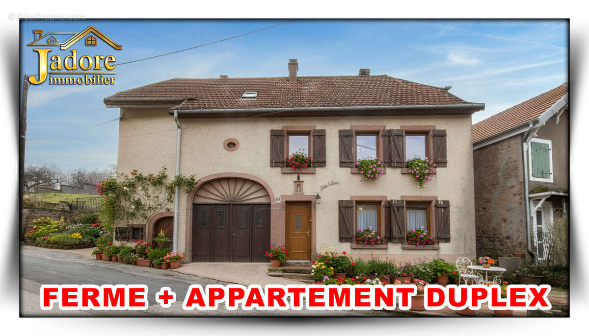 Maison à RAON-SUR-PLAINE