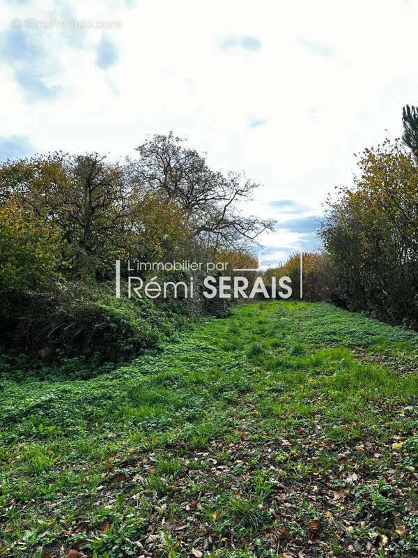 Terrain à ANCTOVILLE