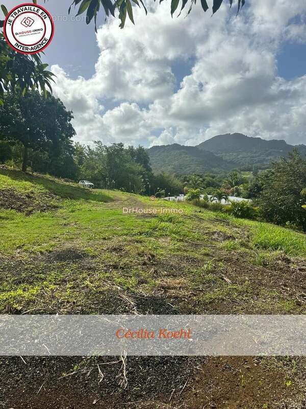 Terrain à LE FRANCOIS