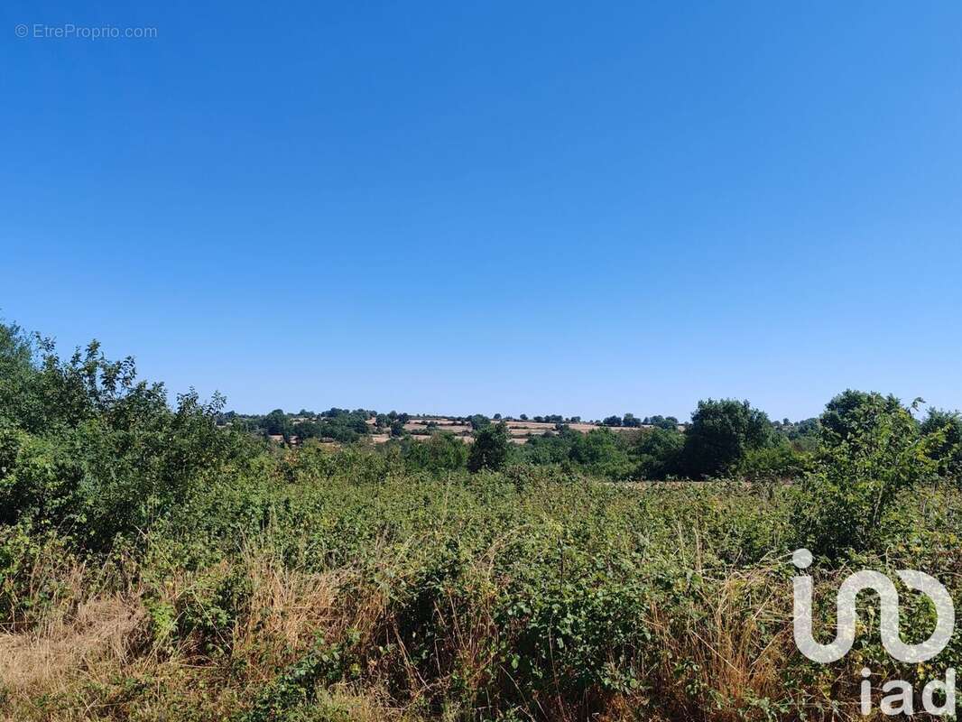 Photo 5 - Terrain à ARGENTON-CHATEAU