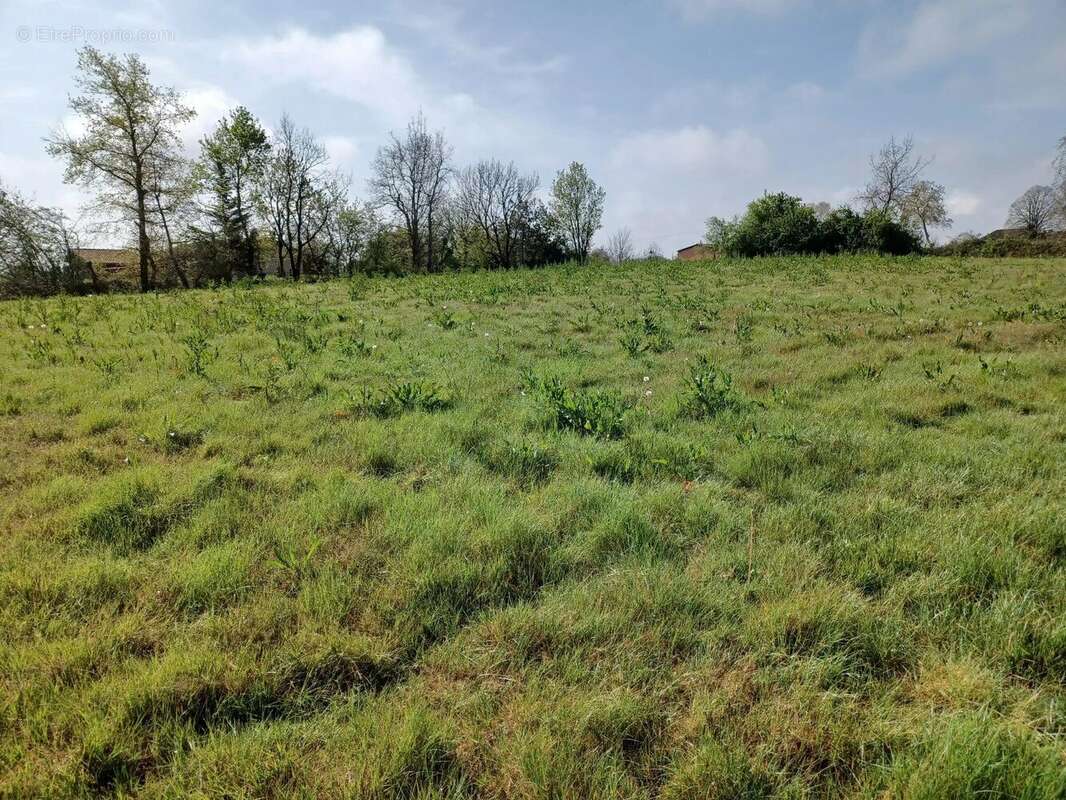 Terrain constructible à vendre | Magnan | Gers | Terrain constructible de 3690 m2 - Calme et belle vue - Terrain à MAGNAN