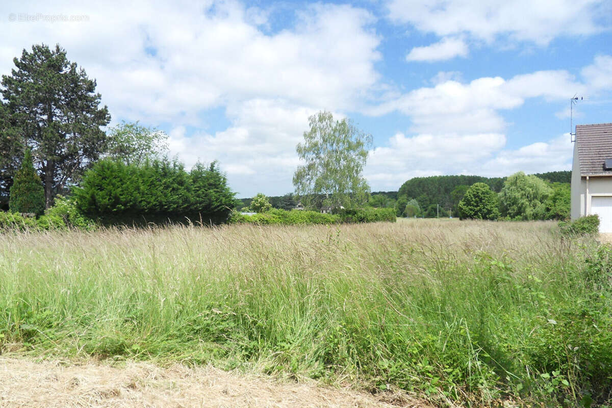 Terrain à NOGENT-LE-ROI