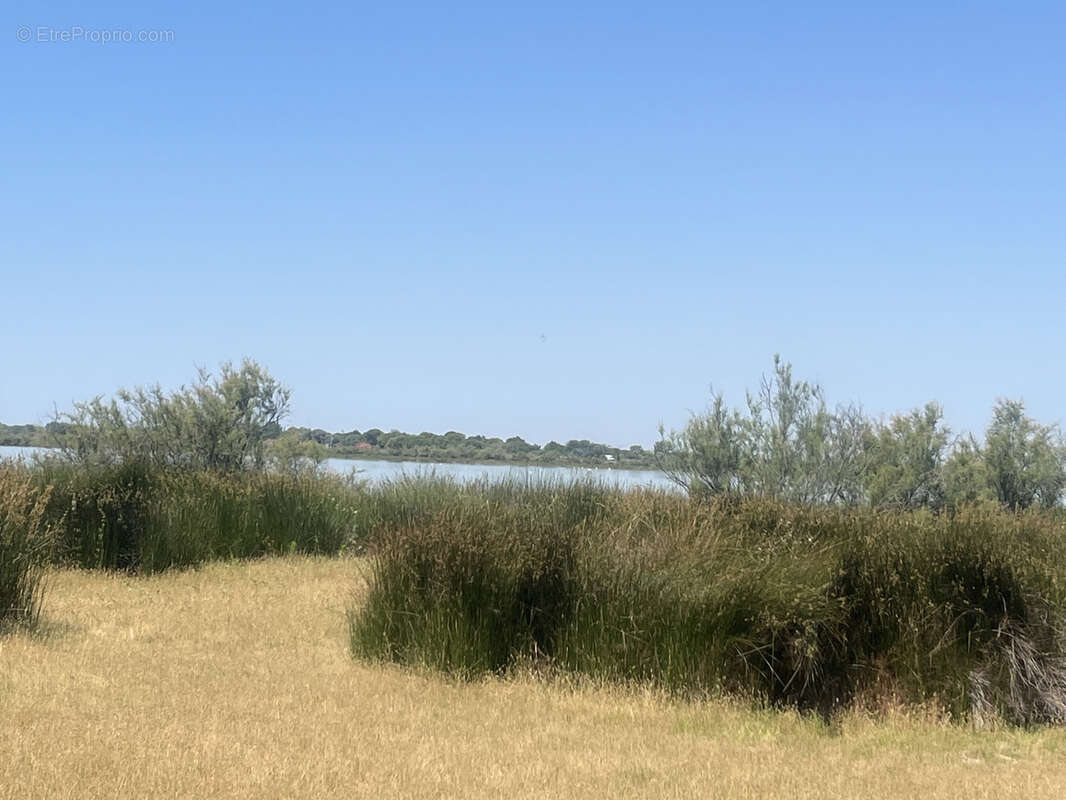 Terrain à AIGUES-MORTES