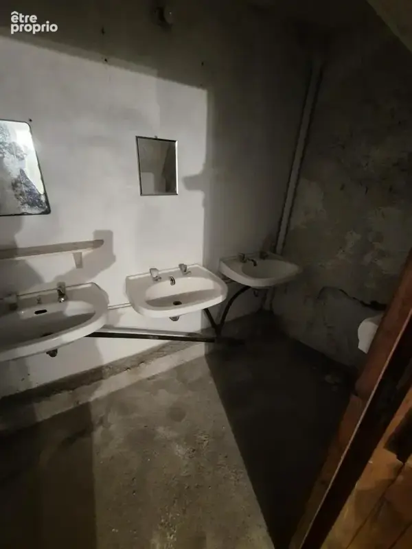 Maison 243 m² à Besse  - photo 3